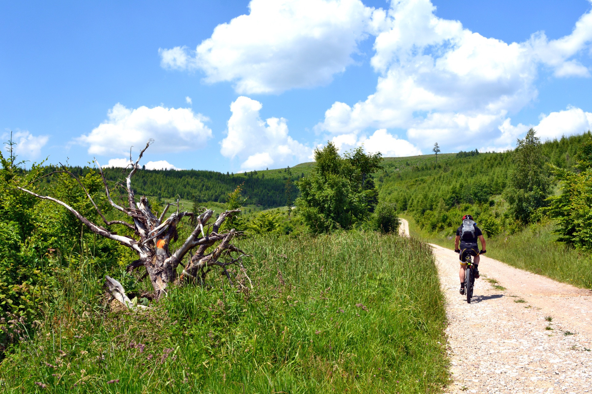trasy zjazdowe na rowerach